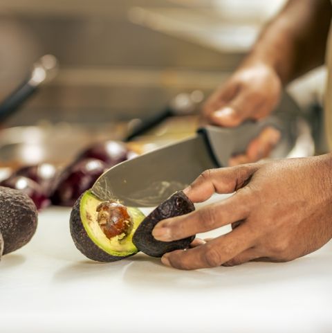 avocats-el-zocalo